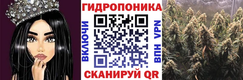 APVP Пущино