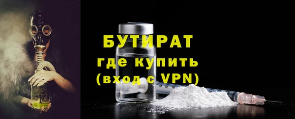 гашик Алексин