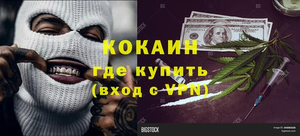 гашик Алексин