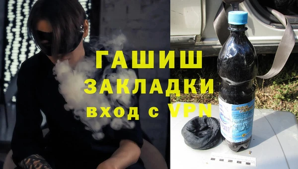 гашик Алексин
